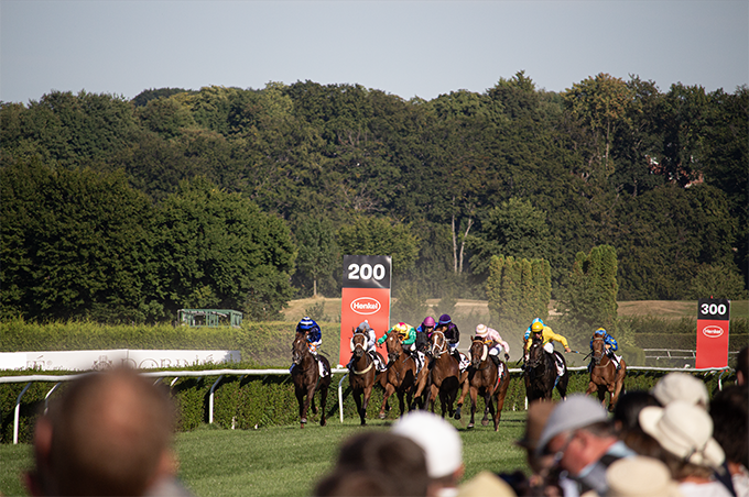 Bild von einem Pferderenen 